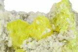 Striking Sulfur Crystals on Fluorescent Aragonite - Italy #282572-2